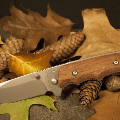 Ultimate Factors to Be Consider When Choosing the Best Camping Knife